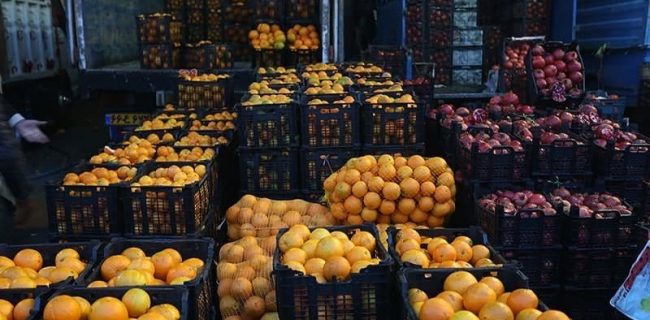 توزیع ۴ هزار تن سیب و پرتقال در استان تهران