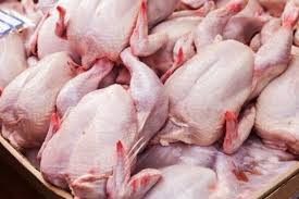 توزیع ۷ تن گوشت مرغ گرم فردا در زاهدان