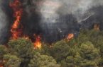 در پی وزش باد گرم شدید در گیلان، اراضی جنگلی و مرتعی نقاطی از استان درگیر آتش شد
