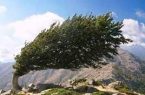 وزش باد روز طبیعت زنجان را درمی‌نوردد