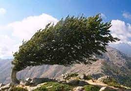 وزش باد روز طبیعت زنجان را درمی‌نوردد