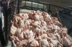 کشف ۸۰۰ کیلوگرم مرغ غیربهداشتی در کرمانشاه