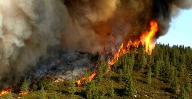 اطفای اولیه آتش‌سوزی جنگل‌های ارسباران