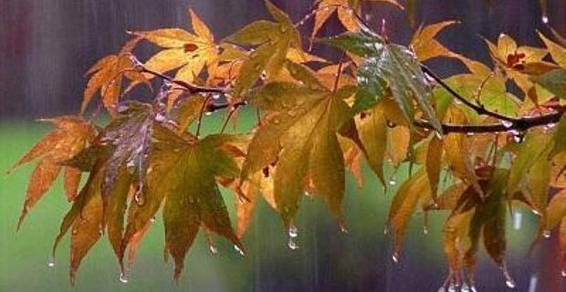 باران پاییزی در راه است/کاهش دما و بارش تا روز جمعه در اردبیل