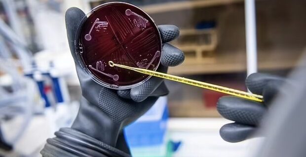 نخستین میکروبیوم مصنوعی انسانی در آزمایشگاه ساخته شد