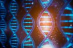 محققان کشور موفق به شناسایی ژن‌ها و مسیرهای مولکولی سرطان شدند