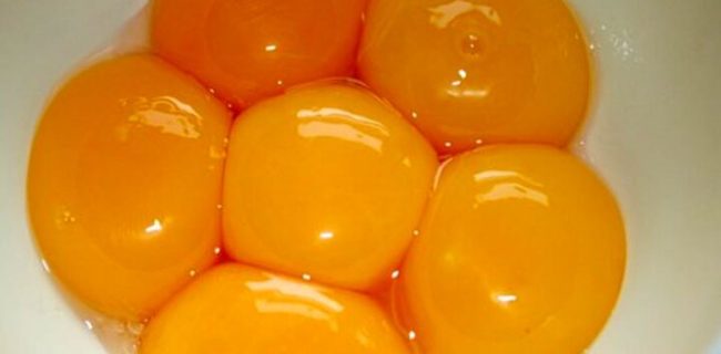 خوردن ۱ تا ۳ تخم مرغ در هفته به محافظت از قلب کمک می کند