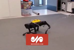 رونمایی از یک ربات هوشمند با یادگیری فوق العاده