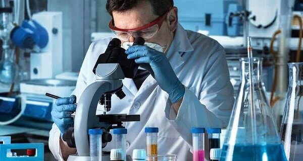 موفقیت محققان دانشگاه تهران در شناسایی یک هیدروژل جدید ضدباکتری