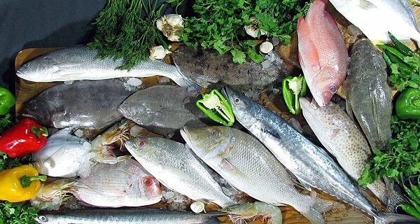 فایده مصرف ماهی برای افراد در معرض خطر بالای بیماری قلبی