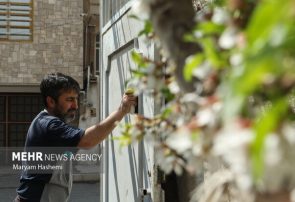 کمردرد شایع ترین عارضه خانه تکانی ایرانی ها