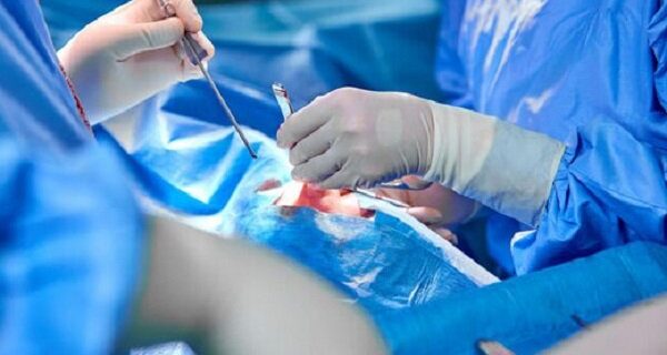 برنامه آموزشی پزشکی عمومی سرفصل «جراحی‏ های زیبایی» ندارد