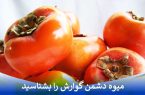 میوه دشمن گوارش را بشناسید