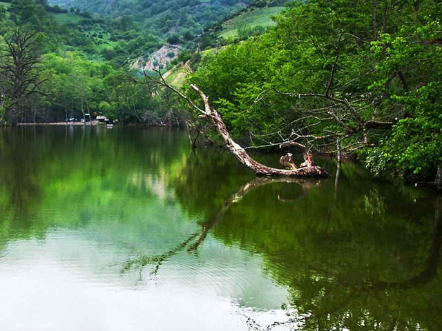 جاذبه های گردشگری قائم شهر را بشناسید