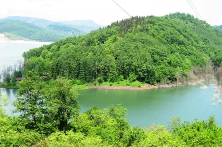 راهنمای سفر به شیرگاه