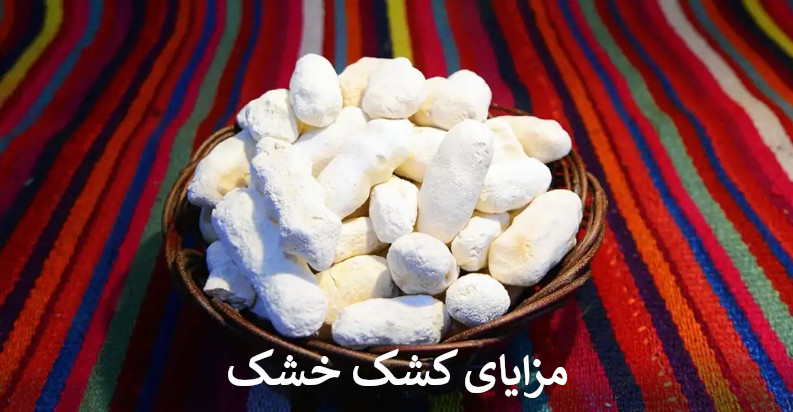 مزایای کشک خشک